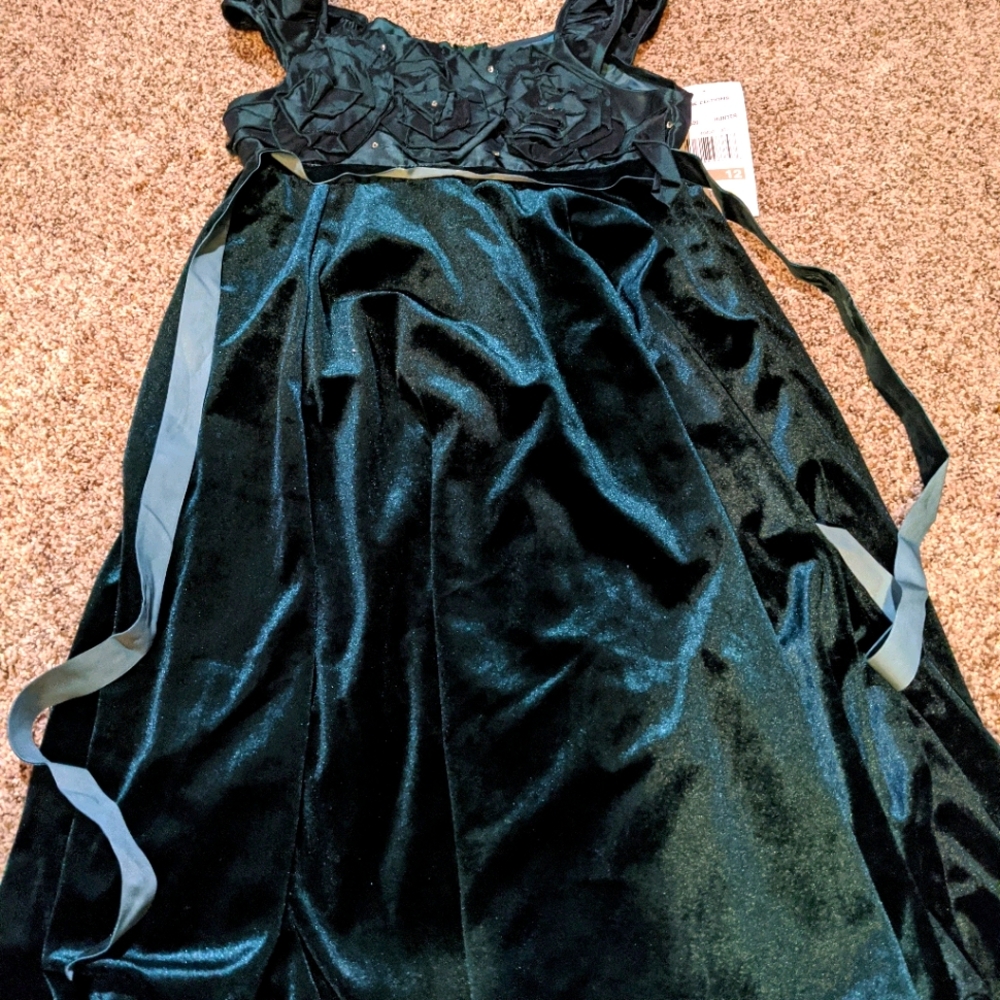 Rare Editions Dress - Hunter Green Size 12